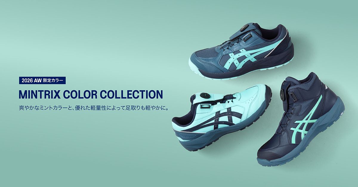26AW発売 NEW COLOR ワーキングシューズ