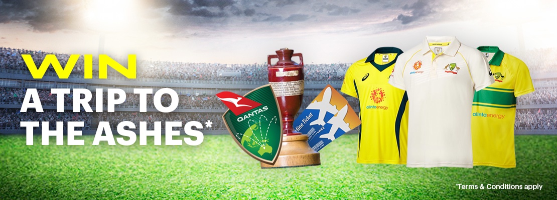 CricketAustralia_GetCaughtAndWin