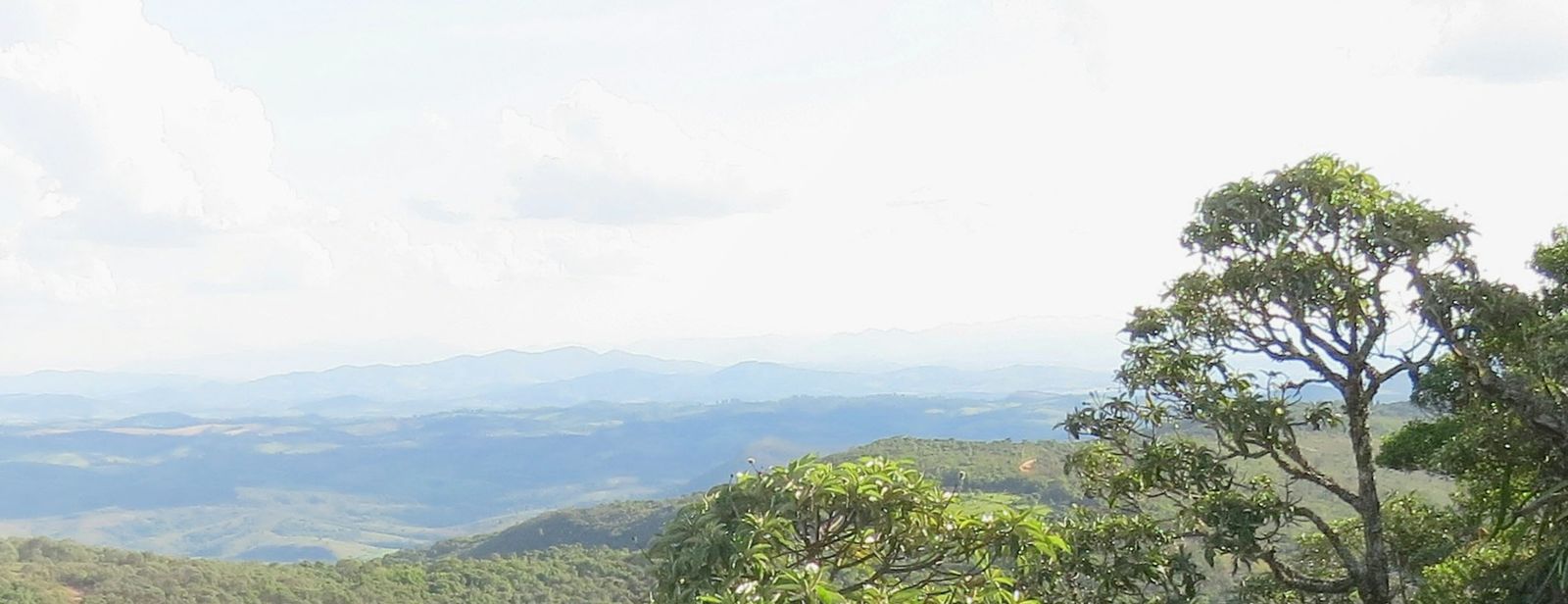 Photo of a vast, green landscape with lots of trees