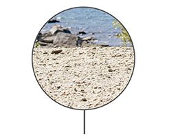 ASICS_SS25_FUJITRAIL_LP_TerrainPin_AllRoundTrail_259x202