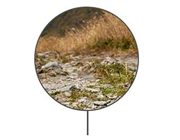 ASICS_SS25_FUJITRAIL_LP_TerrainPin_RoadToTrail_259x202