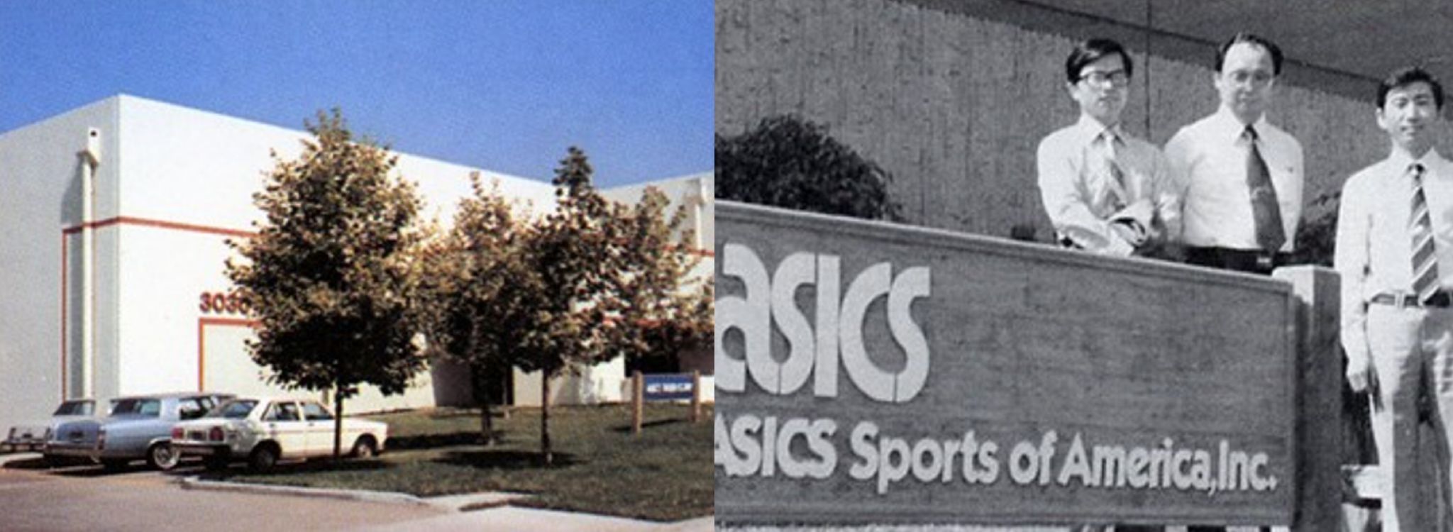 1981