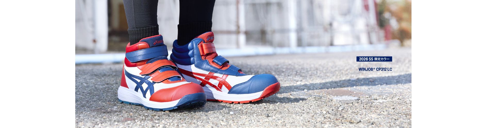 25AW発売 NEW COLOR ワーキングシューズ