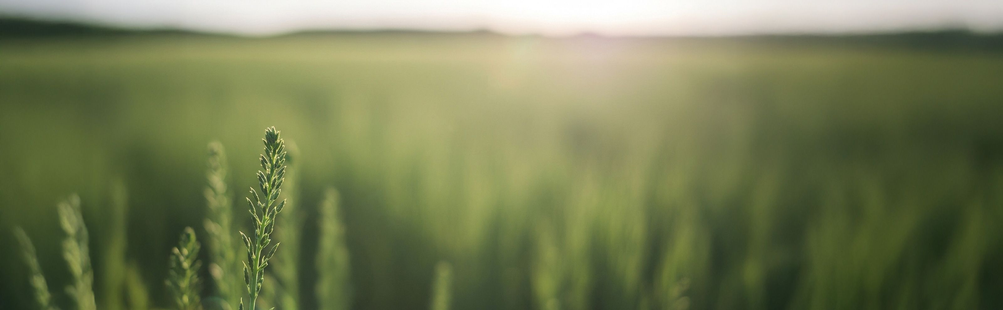 Carbon Footprint 2026