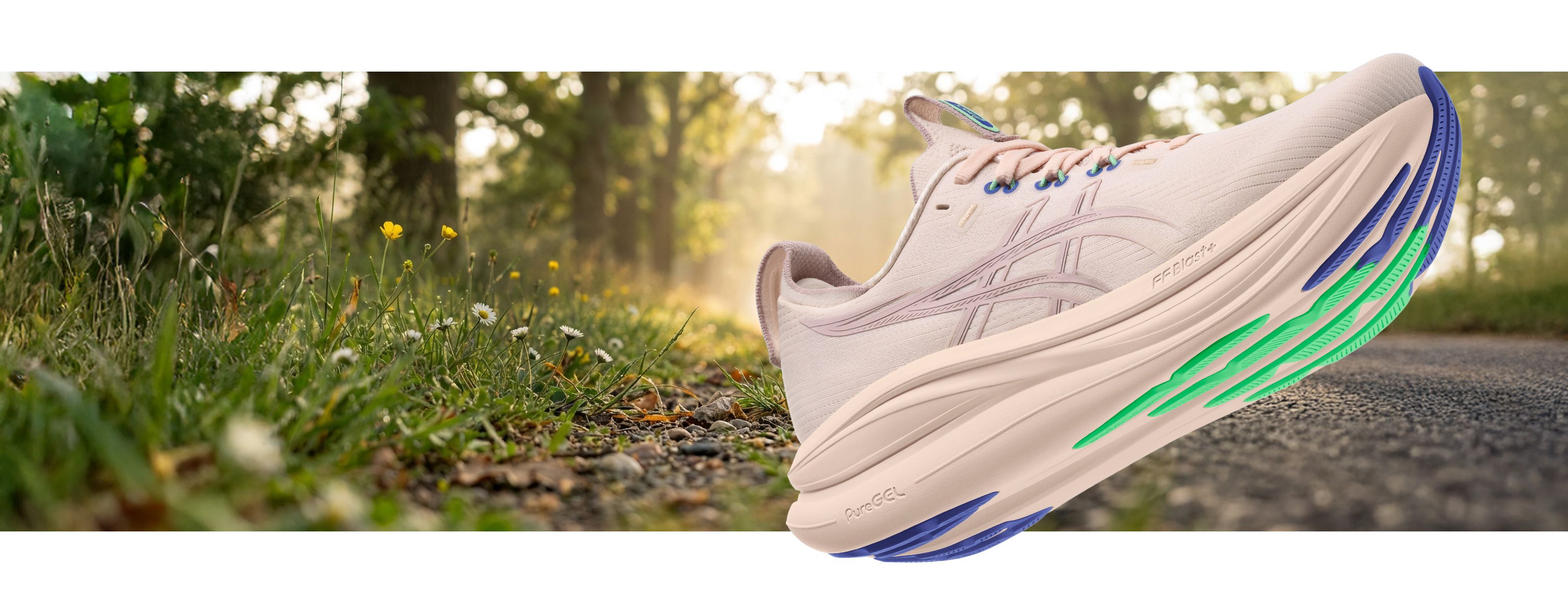 Carbon Footprint 2026