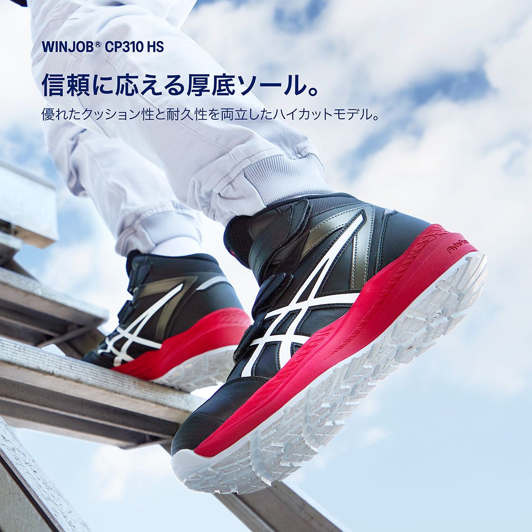 CP310HS