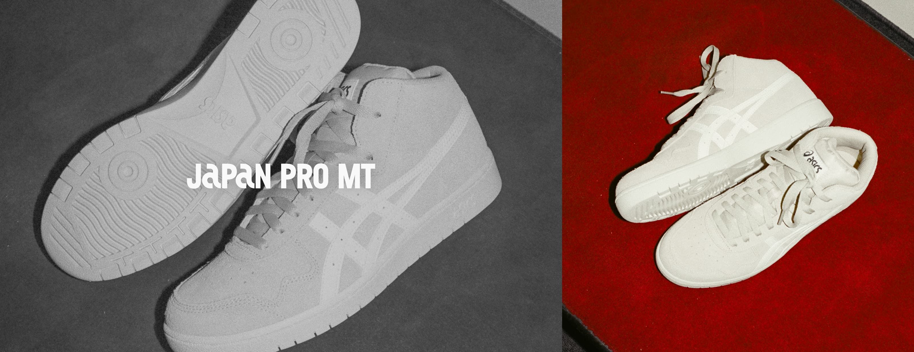 JAPAN PRO MT HERO BANNER
