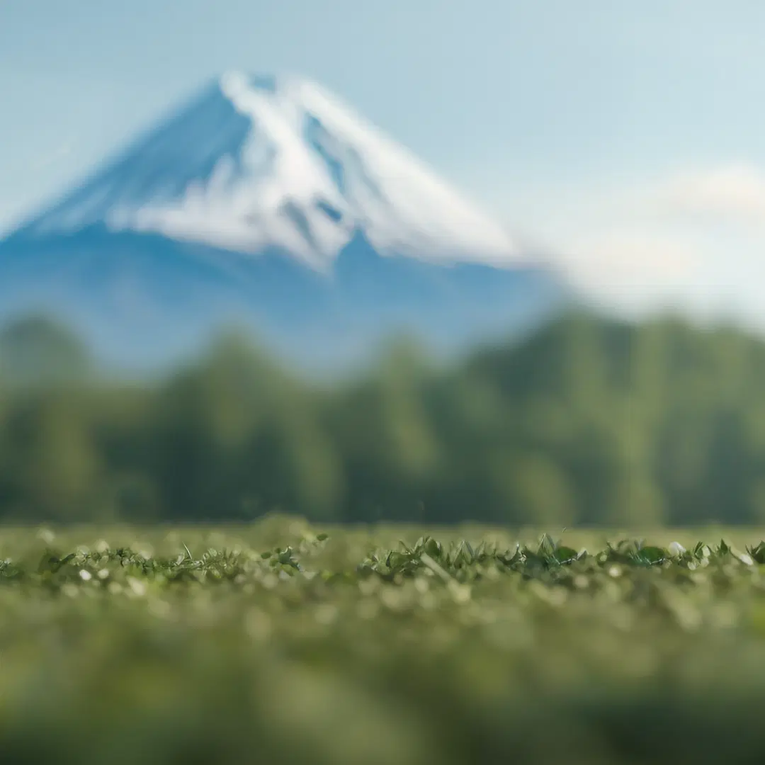 アシックスのサステナビリティについてはこちら​