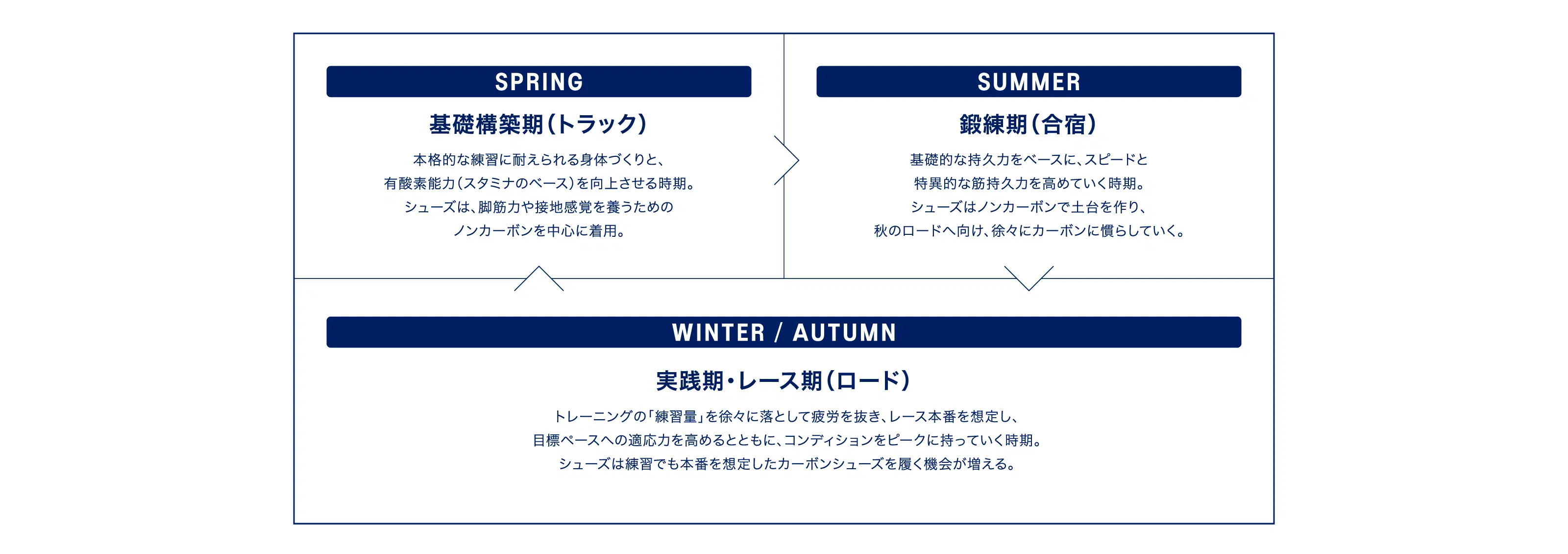 S P R I N G 基礎構築期（トラック） 本格的な練習に耐えられる身体づくりと、 有酸素能力（スタミナのベース）を向上させる時期。 シューズは、脚筋力や接地感覚を養うための ノンカーボンを中心に着用。 S U M M E R 鍛練期（合宿） 基礎的な持久力をベースに、スピードと 特異的な筋持久力を高めていく時期。 シューズはノンカーボンで土台を作り、 秋のロードへ向け、徐々にカーボンに慣らしていく。 W I N T E R / AU T U M N 実践期・レース期（ロード） トレーニングの「練習量」を徐々に落として疲労を抜き、レース本番を想定し、 目標ペースへの適応力を高めるとともに、コンディションをピークに持っていく時期。 シューズは練習でも本番を想定したカーボンシューズを履く機会が増える。
