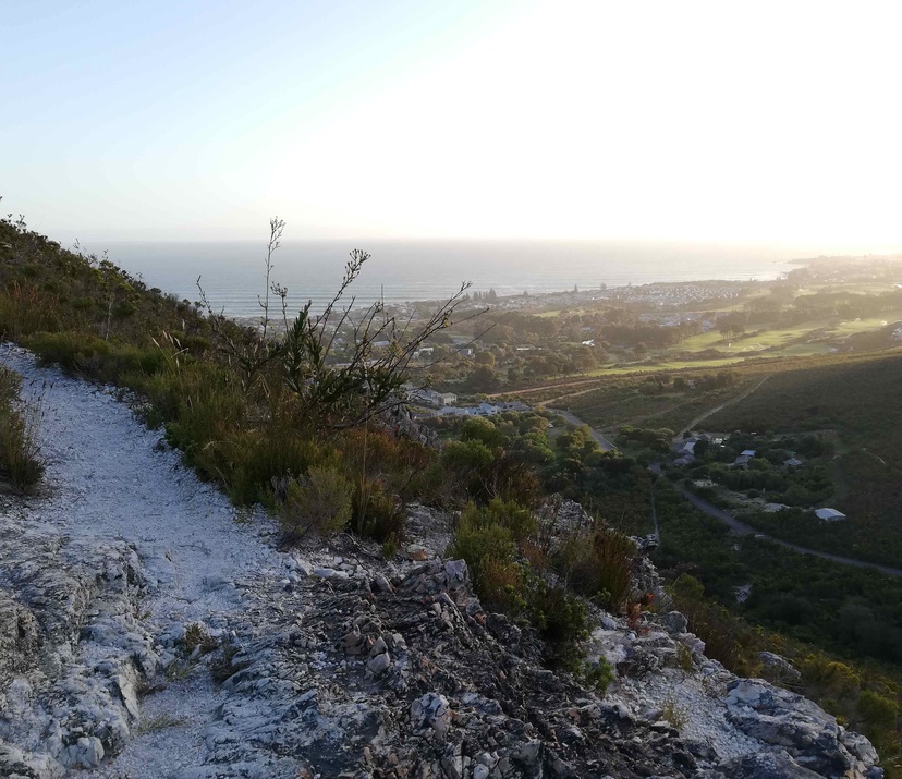 My Run Hermanus
