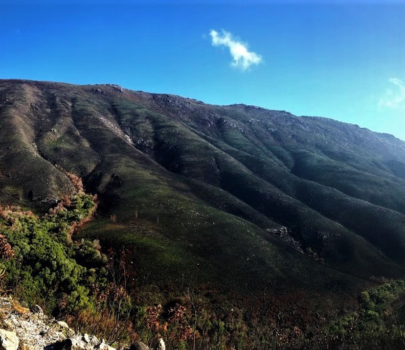 Sleeping Beauty Trail run1