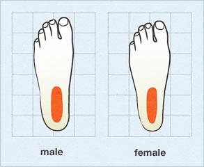 Understanding the Differences Between a Female's Foot and a Male's