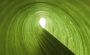 How nature can impact our mental wellbeing_MOVEMENT FOR MIND