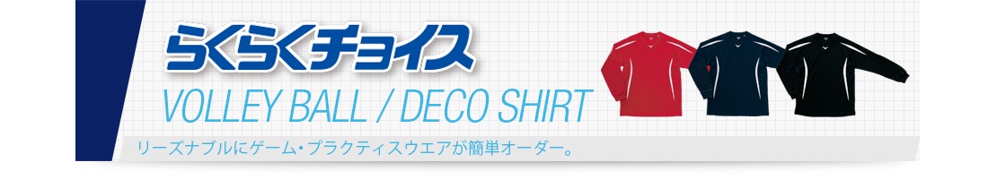 volley01 - AJP-A-15-12col-rakuraku-c-volley01-topimg.jpg