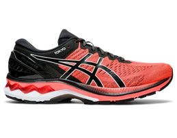 asics nimbus best price