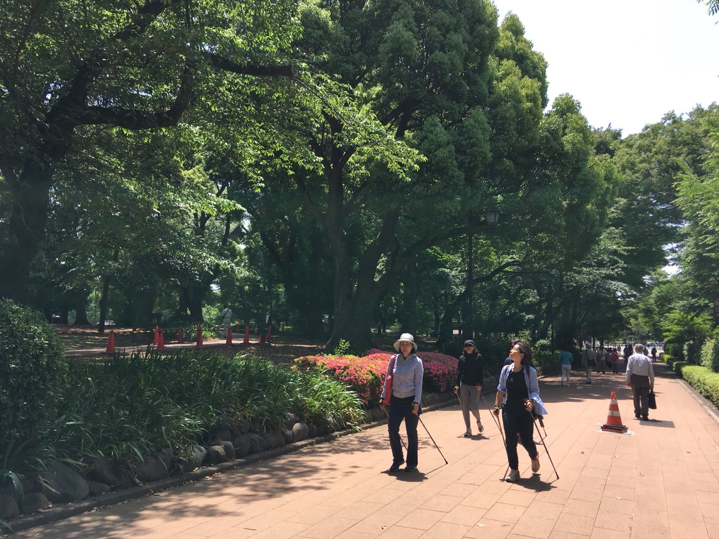 asics connection tokyo