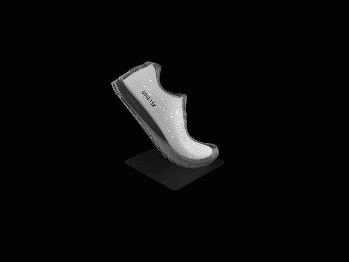GORE-TEX