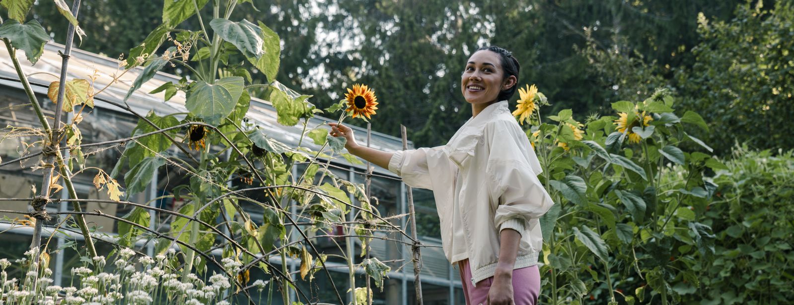 Image of woman picking sunflower and smiling.