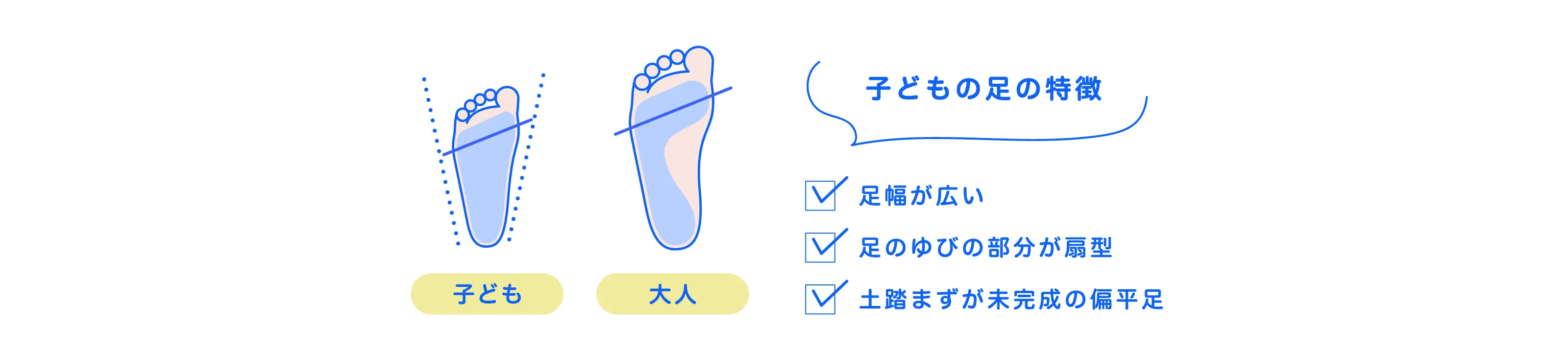 STEP1 子どもの足と大人の足は違う！