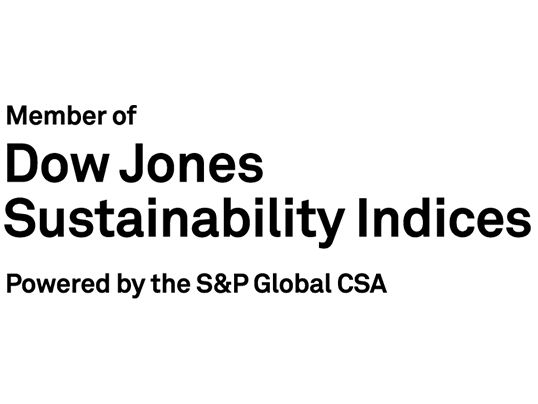 Down Jones Sustainability Index logo