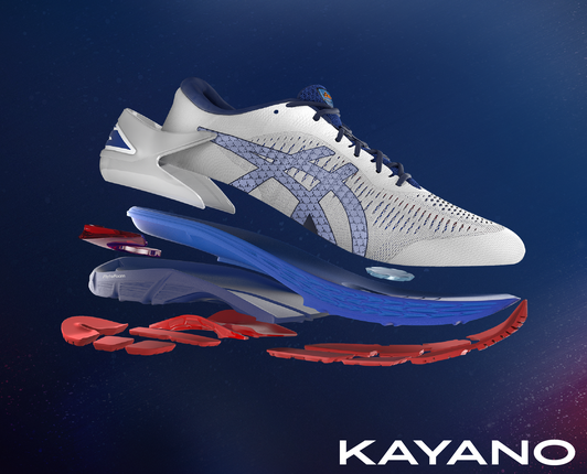 asic india