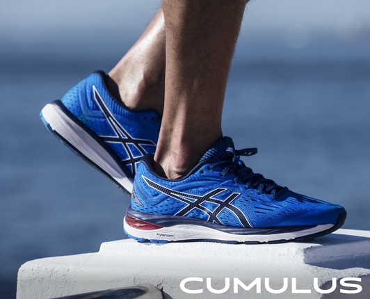 asic india