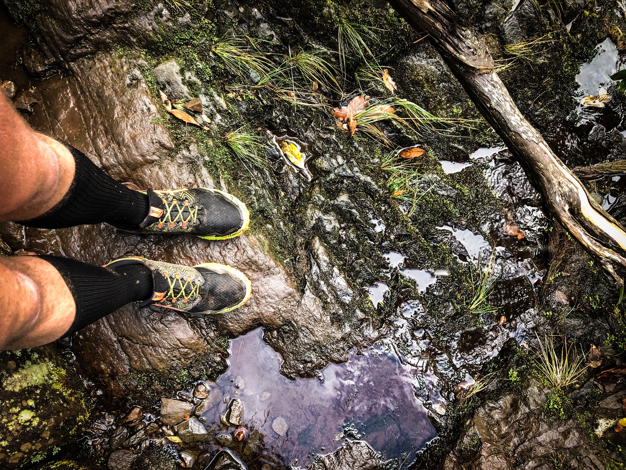 ASICS FrontRunner - GEL-FUJITRABUCO™ 8 - Extremtest auf Madeira
