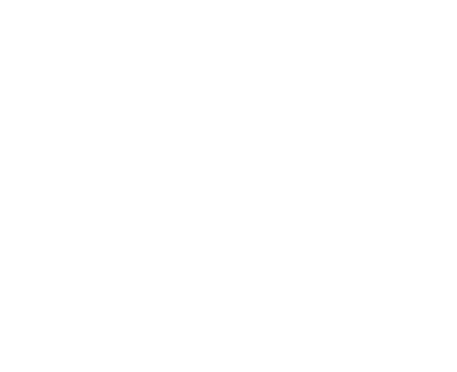 Don't Run, Fly