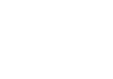 novalis logo