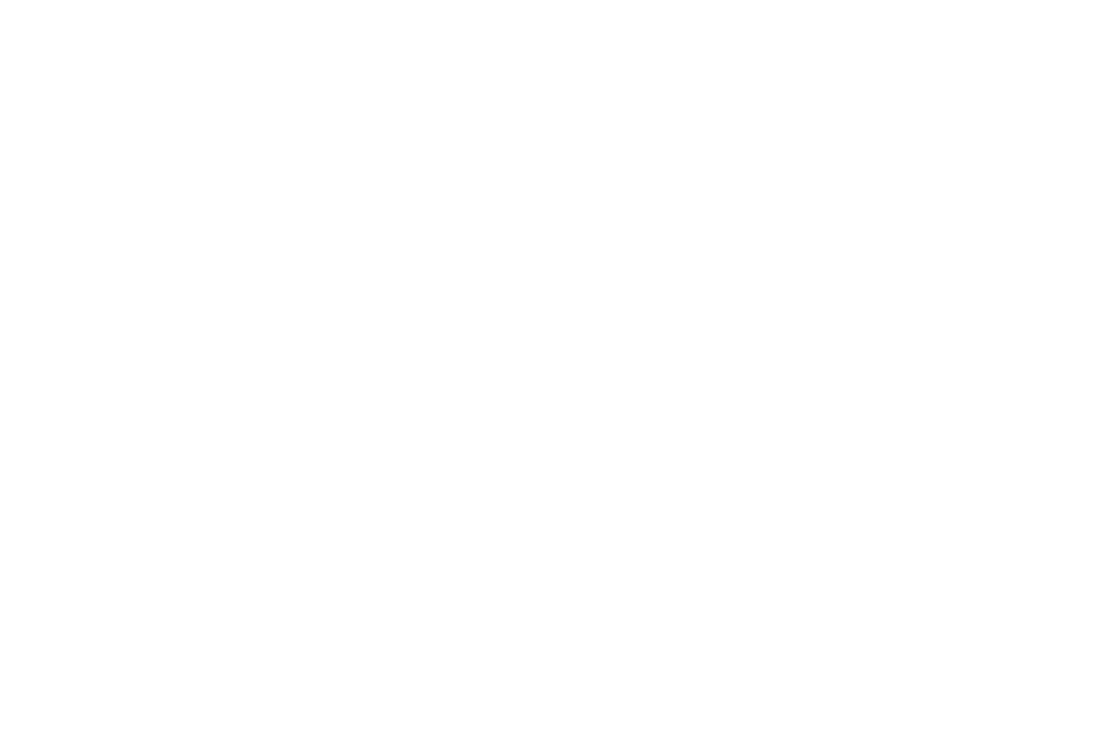 Onitsuka Tiger logo