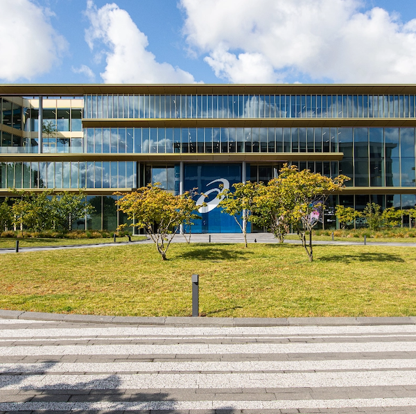 Picture of people on the trail running