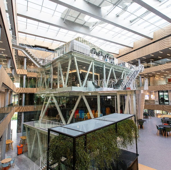 Picture of people on the trail running