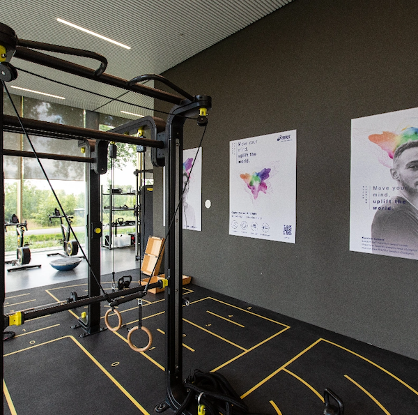 Picture of people on the trail running