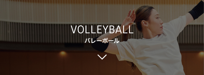 VOLLEYBALL