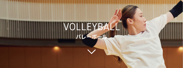 VOLLEYBALL